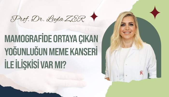 video,paylaşım,kameralı telefon,videofon,ücretsiz,yükleme